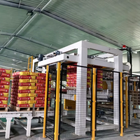 Machine de palettisation automatique intelligente à haute efficacité pour sacs de ciment