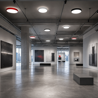 Plafonnier LED minimaliste à hauteur réglable pour écoles, galeries d'art, salles d'exposition, musées et intérieurs commerciaux contemporains