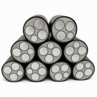Câble d'alimentation YJLV22- 0.6/1kV 3*95+2*50 à conducteurs en aluminium, isolation XLPE, gaine en PVC, blindage en ruban d'acier, pour installation directe en terre