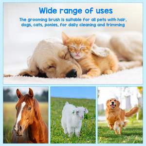 Pelusa de plástico Pet <span class=keywords><strong>Dog</strong></span> Grooming Brush <span class=keywords><strong>Hair</strong></span> Remover para perro de pelo largo - Product Image 5