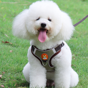 リーシュ付き犬用ハーネス調節可能なベストウォーキング用品チワワパグ用の柔らかく通気性のあるペットアクセサリー小さな子犬の犬のリード - Product Image 1