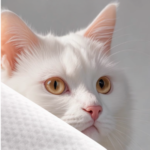 ผ้าเช็ดทำความสะอาดสัตว์เลี้ยงผ้าฝ้ายวิสคอสแบบใช้แล้วทิ้งสำหรับใช้ในครัวเรือนเวียดนามขนาด15ซม. x 20ซม. - Product Image 4