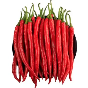 Factory Price Fresh Frozen Pods Red Chili Pepper Dried Paprika Pods Chili Sauce Dried Spice Herbs