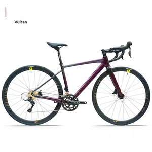 Bicicleta de Carretera de Aluminio 700C en Oferta con Horquilla de Fibra de Carbono, Desviador de 20 Velocidades y Frenos de Disco Dobles - Racing Zxc-302 700C Aluminio - Product Image 2