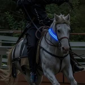 Collier de cheval en polyester solide et luxueux, rechargeable par LED, réglable, durable, avec lumière pour <span class=keywords><strong>une</strong></span> utilisation nocturne - Product Image 5