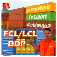 Empresa Comercial Saudí, Socio en China, Transporte DDP a Riad para Materiales de Construcción/Piezas de Automóviles/Artículos de Primera Necesidad LCL+Express