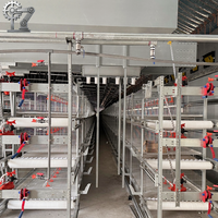 Cage d'élevage de poussins de type H, gain de place, entièrement automatique, galvanisée à chaud, 3/4 niveaux, pour élevage avicole