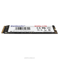 Goldenfir 960GB 1TB M.2 SSD PCIe3.0 NVME SSD disque dur PCIE pour ordinateurs portables de bureau