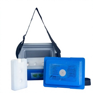 Portable <b>Custom</b> Modern Thermal <b>Insulated</b> Cooler <b>Box</b> 12L with Reusable PP & PE Ice Pack for Outdoor Camping and Medical Use - Product Image 1