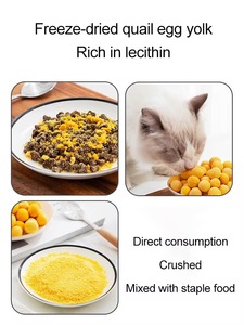 Chất Lượng Cao Đóng Băng Khô Chim Cút Lòng Đỏ Trứng OEM Gói Mèo Snack Xử Lý 100% Tinh Khiết Đóng Băng Khô Lòng Đỏ Trứng - Product Image 3