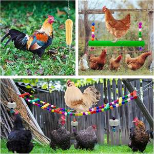 Клетка для кур - Product Image 6