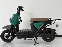 Moteur 800W 1000W Chine 2 roues Adulte Pas Cher E-Moped Vélo Cargo VTT Vélo de Route Fat Bike Vélo Pliant Urbain 48V/60V/72V 40-60km/h