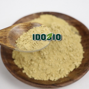 Bột <span class=keywords><strong>Glehnia</strong></span> Ven Biển Cấp Cao Nhất Bột Beishashen - Product Image 2