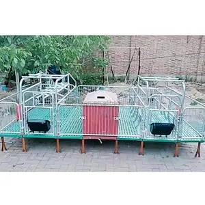 Letto di allevamento per la produzione di suini gabbia per suini pratica e conveniente mangiatoia per attrezzature per l'allevamento di suini per l'allevamento di animali