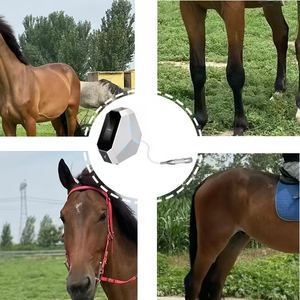 Machines portatives de thérapie d'onde de choc pour des animaux de compagnie éprouvant la douleur et des lamenes - Product Image 4