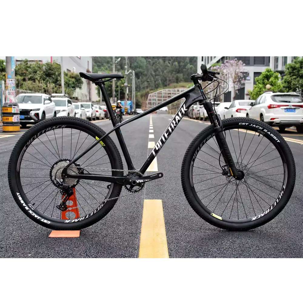 사이클 트랙 CK-COZY 탄소 섬유 MTB 자전거 모든 산 탄소 MTB 산악 자전거 29 인치