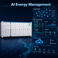 Sistema de Almacenamiento de Energía en Contenedor con Refrigeración Líquida, Certificaciones Completas, Energía Solar Renovable, DC3MWh/4MWh/5MWh/6MWh, Bess, BMS, EMS