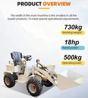 Usine meilleur 0.5ton 500kg Mini chargeur Diesel tracteur compact avec chargeuse et pelleteuse Petite chargeuse-pelleteuse pour terrassement
