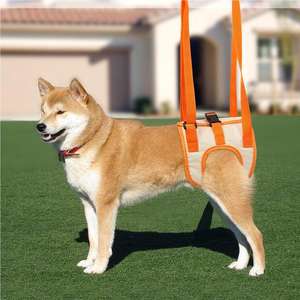 Huisdierondersteuningsgordel Voor Oudere En Gehandicapte Honden Om Te Helpen Bij Revalidatie En Lichaamsbeweging En Om Hen Te Helpen Trappen Te Beklimmen - Product Image 1
