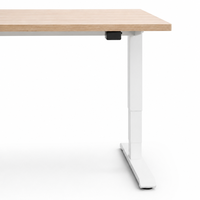 Bureau debout électrique à moteur unique, réglable en hauteur, pour le travail assis-debout, poste de travail ergonomique moderne