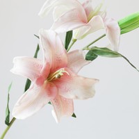 Gesimuleerde textuur PU realistische hydraterende paardenbloem hortensia kunstbloemen boeket bloemstuk bruiloft decoratie LANTAN model 08
