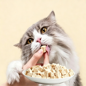 Snack Natural de Pechuga de Pollo con Alto Contenido de Proteínas, Sin Granos, Nutritivo y Saludable para Cachorros y Gatitos, Premios Liofilizados para Mascotas - Product Image 2