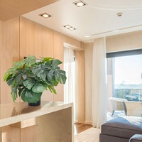 Petit arbre artificiel Monstera Deliciosa Bossion en vente, plante artificielle pas chère
