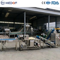 Automatische knoflook vacuümverpakkingsmachine, automatische natte knoflook schilmachine, knoflook schilproductielijn