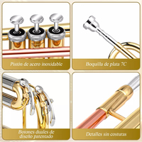 Factory Wholesale Bb Brass Body Gold and Silver Color Matched Phosphor Copper Tone Tube Trumpet With Case Set
