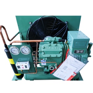 Unidad Condensadora <span class=keywords><strong>de</strong></span> Compresor <span class=keywords><strong>de</strong></span> Pistón Refrigerado por <span class=keywords><strong>Aire</strong></span> <span class=keywords><strong>de</strong></span> 6.5HP, Pequeño, Alemán, con un Ventilador para Sistema <span class=keywords><strong>de</strong></span> Refrigeración - Product Image 3