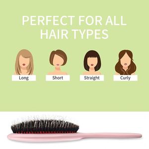 Deep Reach Massage Boar Bristle Detangling Hair Brush <b>Smart</b> Air Cushion Base Comb Set Salon Station Essential Equipment - Product Image 4