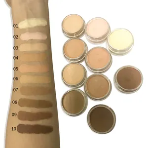 Low Moq Romige Concealer Cover Shadow Powder Kit Custom Waterdichte Natuurlijke Contour Stick Voor Make-Up Voor Cosmetica