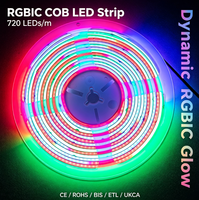 Bande LED COB RVBIC Numérique Adressable en Gros, 720 LED, Couleurs Complètes, 24V, 10mm, pour Projets d'Affichage Dynamique de Contours de Bâtiments et de Repères