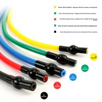 ZJFIT TPE - Juego de Bandas de Resistencia Multifuncionales para Yoga, Ejercicios de Fitness, Entrenamiento de Fuerza y Escultura Corporal