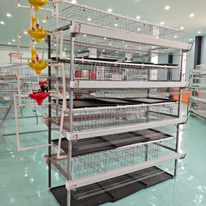 Système de production d'œufs de poulets de type H moderne, cage <span class=keywords><strong>à</strong></span> poulets en batterie, prêt <span class=keywords><strong>à</strong></span> être expédié, cage <span class=keywords><strong>à</strong></span> batterie en parfait état pour poules pondeuses - Product Image 4