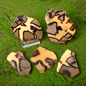 Hot Bán tự nhiên rùa mô hình slad đánh bóng septarian pha lê Slice cho trang trí nội thất - Product Image 2