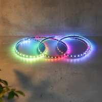 Tira de Luces LED Flexible WS2812B SK6812, Direccionable, Programable, Inteligente, DC5V USB, Luces Decorativas para Exteriores, Personalizables, Impermeables, Venta al Por Mayor
