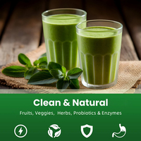 CHTNature OEM Suppléments en Poudre Super Greens Mélange Superalimentaire Vitaminé Conditionnement en Sachet