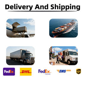 Bicicleta de Carretera LIGHTRISE 700C, Cuadro de Fibra de Carbono Ultraligero, Aero, 105 R7120, 24 Velocidades, Freno de Disco Hidráulico T47 - Product Image 5