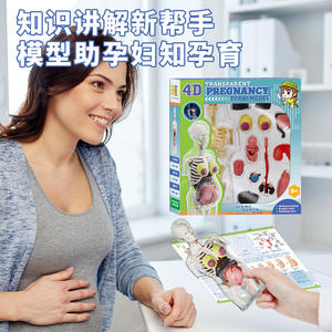 Modèle d'anatomie pour femmes enceintes, ensemble de jouets, organes humains, squelettes, papier, matériel, étudiants, éducation scientifique précoce, jouets à assembler soi-même - Product Image 4