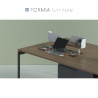 FORMIA Mobilier de bureau moderne Structure en acier et bois Combiné Bureau Personnel Bureau Employé Poste de travail (2 personnes)