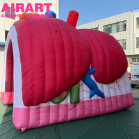Accessoires de décoration pour activités : Canaux hépatiques gonflables, Canaux rénaux gonflables pour exposition