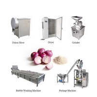 Continue Automatisering Ui Poeder Maken Lijn Ui Poeder Productielijn 100-1500 Kg/u Ui Poeder Verwerking Productielijn