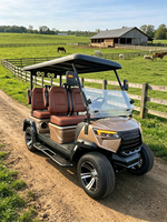 Chariot de golf électrique pour commande en gros, avec siège ergonomique, idéal pour les sites touristiques et les utilisations hors route publiques, certifié DOT CE EEC