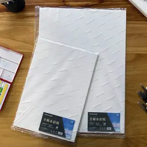 100% Paquete de papel de acuarela de algodón Prensa fría 540x787mm