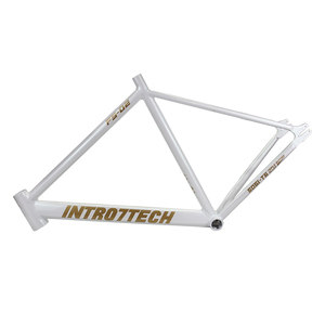 Khung xe đạp đường phố bánh cố định siêu nhẹ, một tốc độ, mới nhất INTRO7TECH FM001 - Product Image 3