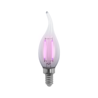 E12 E14 E26 E27 C35 C35T bleu vert Orange jaune rouge couleur ampoule de bougie 2W 4W coloré LED ampoule à Filament pour la décoration