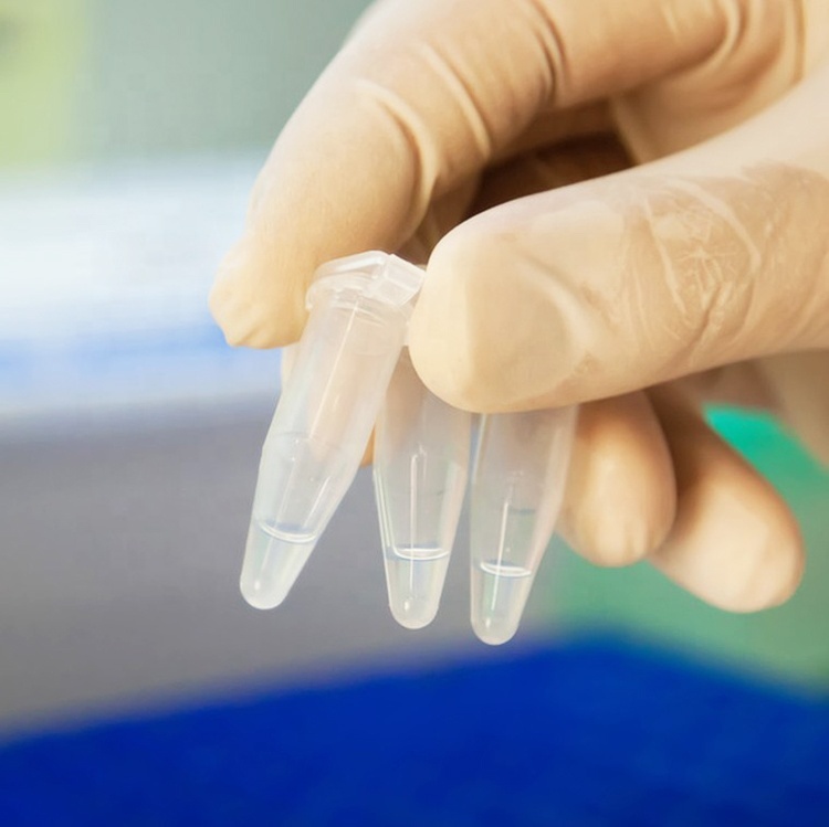 Disposable Transparent PP Plastic 0 2mL