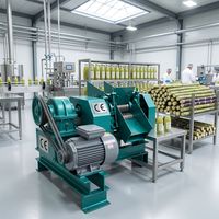 Presse à jus de canne à sucre à moteur diesel, broyeur industriel pour l'extraction du jus de canne à sucre, prix usine, à vendre