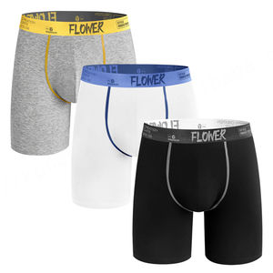 Usine en Chine de haute qualité Logo audacieux lettre ceinture élastique Logo personnalisé coton hommes culottes sous-vêtements pour adultes hommes - Product Image 6